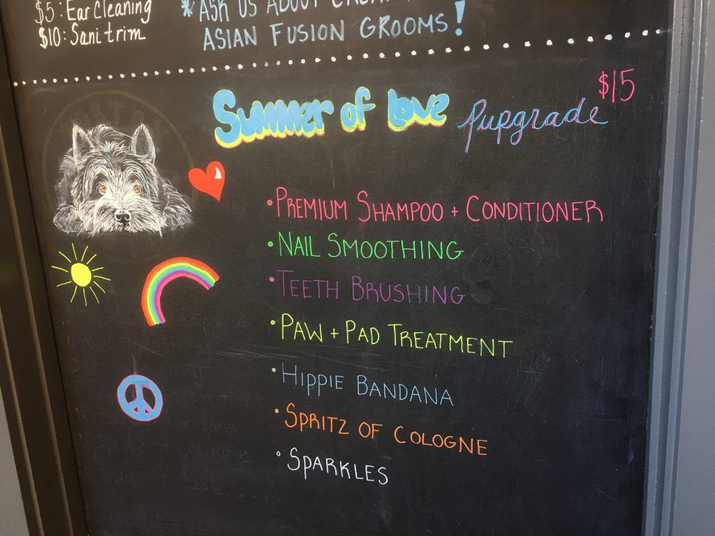 boston dog grooming urban hound