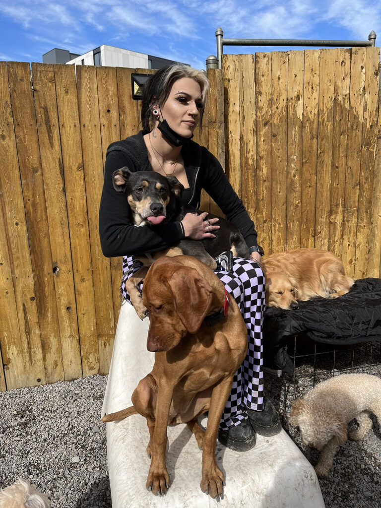 boston dog daycare